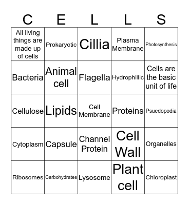 Cellular Bingo Card