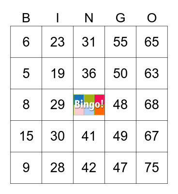 BINGO FUN Bingo Card