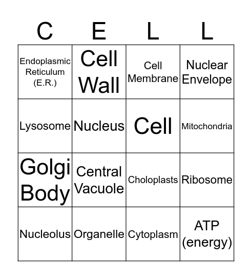 ORGANELLE BINGO Card