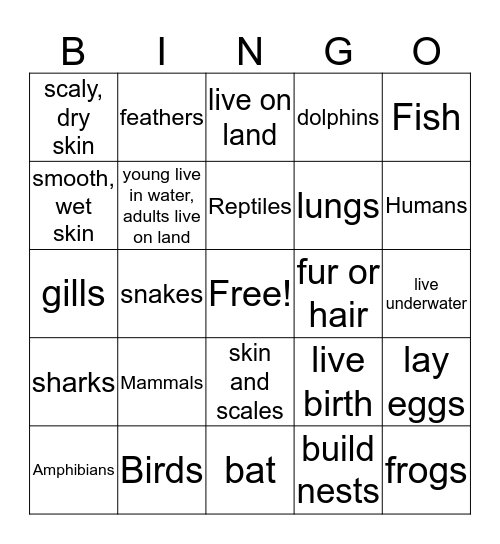 Animal Groups Bingo Card