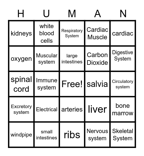 Body System Bingo Card