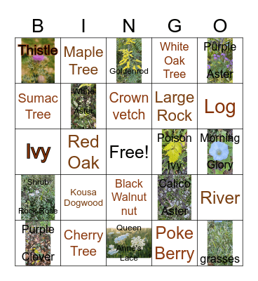 Nature Walk Bingo Card