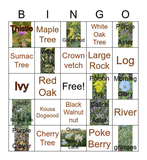 Nature Walk Bingo Card