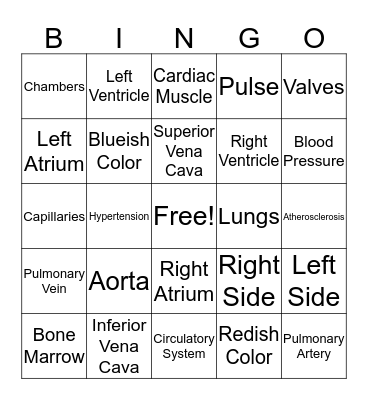 Circulatory Bingo Card