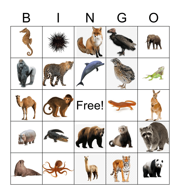 Animal Habitats Bingo-Villanueva Bingo Card