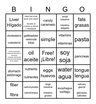 Nutrition/Digestive System Review Bingo Card