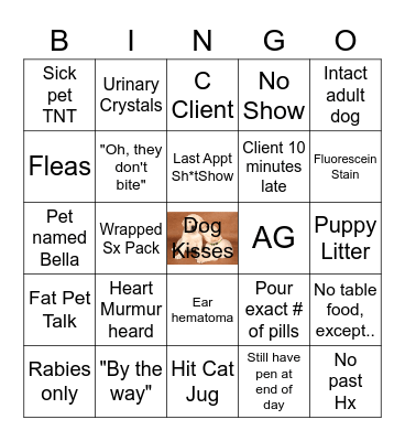 Vet Tech Bingo Card