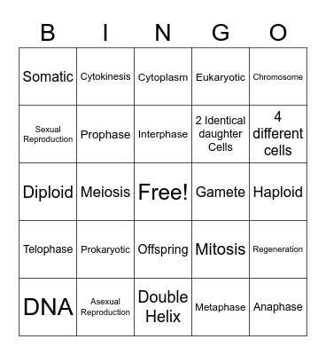 Cell Reproduction Bingo Card