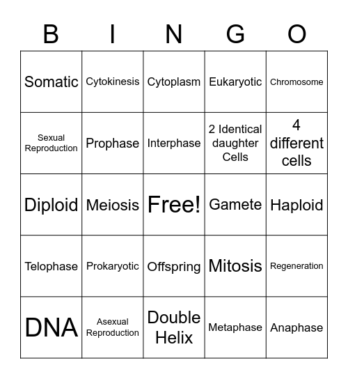 Cell Reproduction Bingo Card