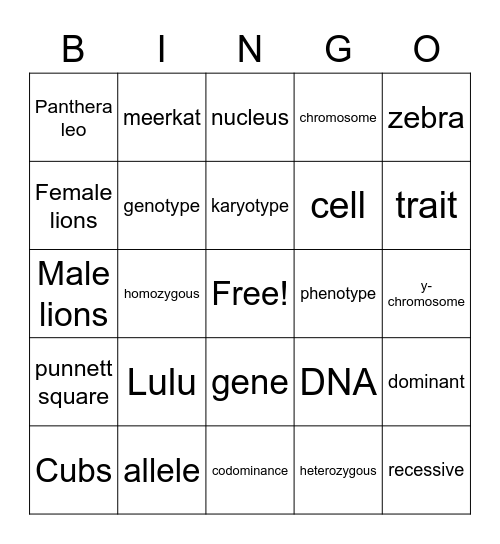 Genetics Review Bingo Card
