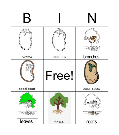 Part of a seed and a tree Bingo Card