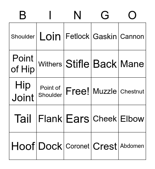 Parts of the Horse Bingo Card