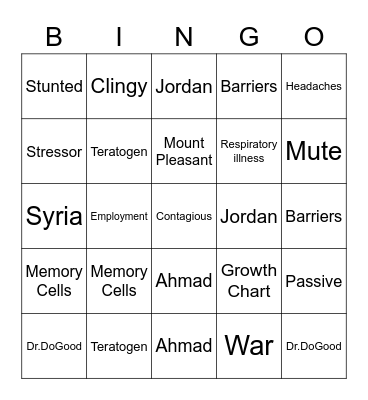 Refugee Family Bingo Card