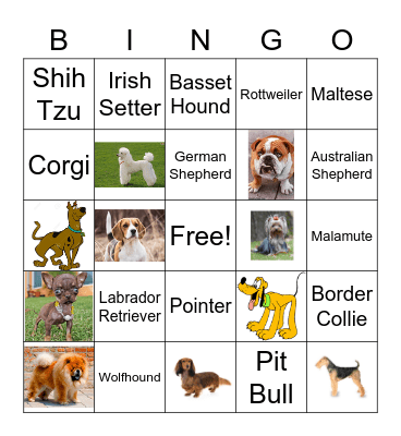 Dog Days of Summer Bingo Card