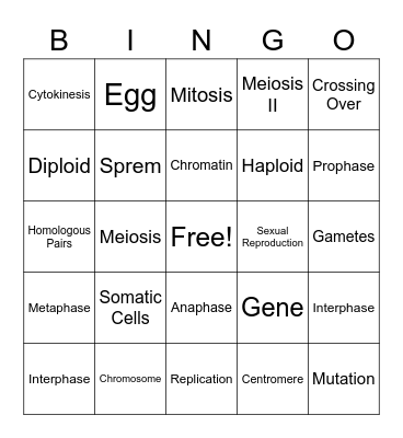 Cell Division BINGO Card