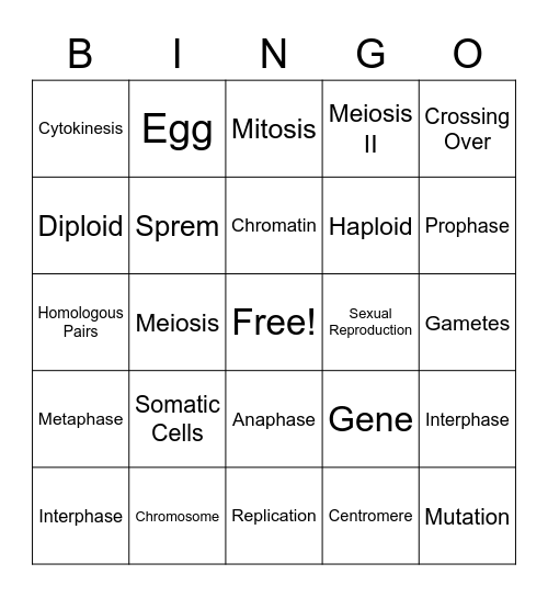 Cell Division BINGO Card