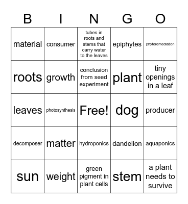 Matter and Energy in Plants Bingo Card