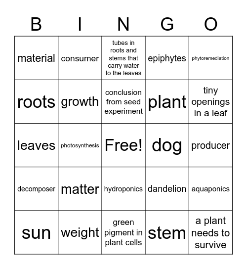 Matter and Energy in Plants Bingo Card