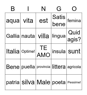 Latin Road Ch 1 Bingo Card