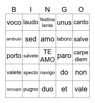 Latin Road ch 3 Bingo Card