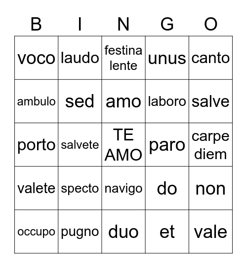 Latin Road ch 3 Bingo Card