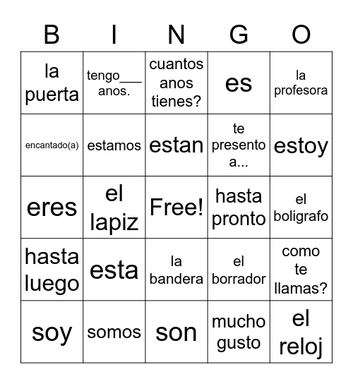 Spanish 2 Lesson 3 Bingo Card