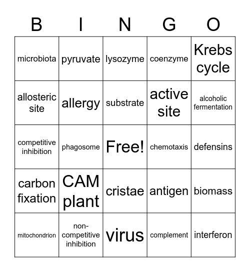 Chapter 4, 5 and 6 Bingo Card