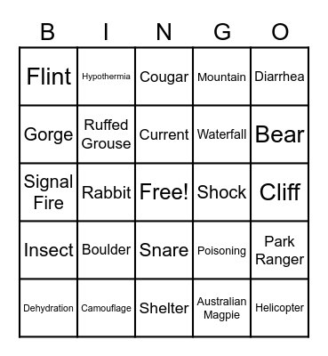 Can you Survive the Wilderness? Bingo Card