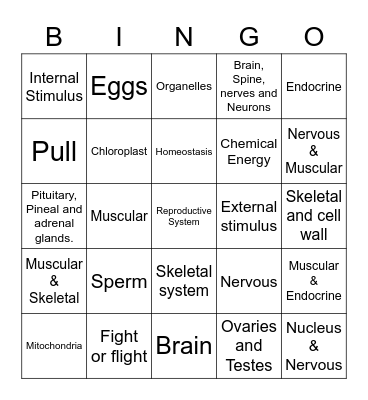Body Systems and Cells' Organelles Bingo Card