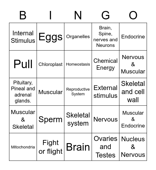 Body Systems and Cells' Organelles Bingo Card