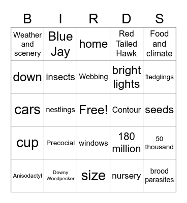 Birds Bingo Card
