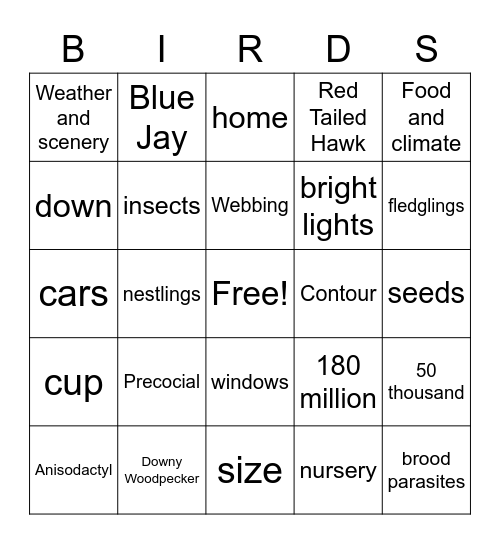 Birds Bingo Card