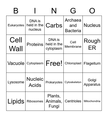 Cell Organelle Bingo! Bingo Card