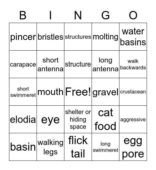 Crayfish Bingo Card