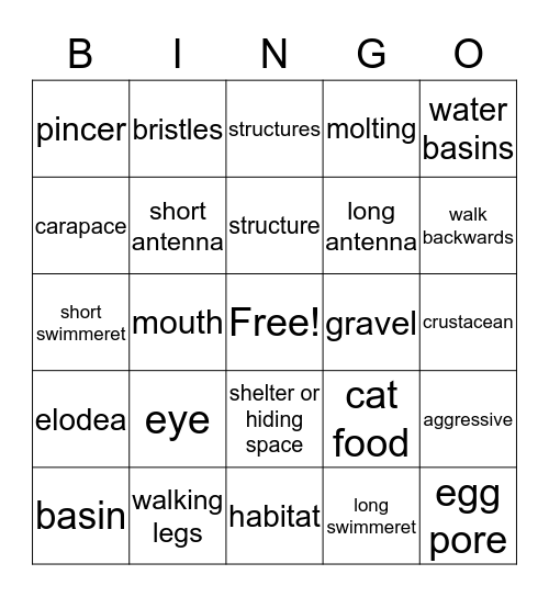 Crayfish Bingo Card