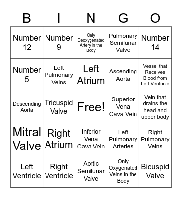 Heart Anatomy BINGO Card