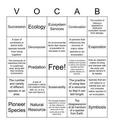 Vocab Binding Bingo Card