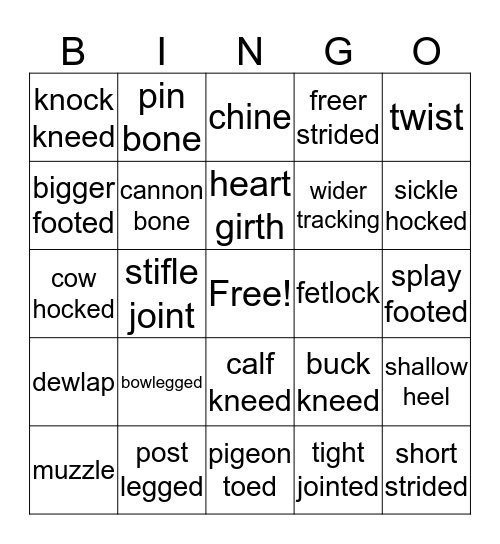 Livestock Judging Bingo Card