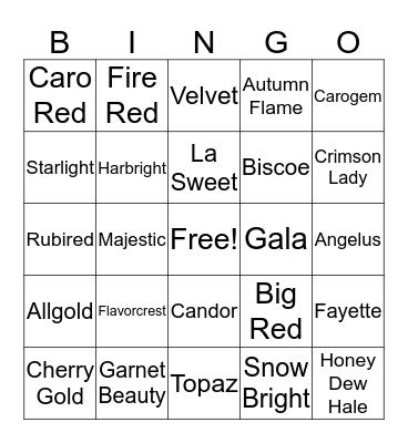 Peaches Bingo Card
