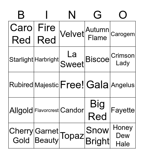 Peaches Bingo Card