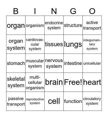 Organization of Living Things Bingo Card