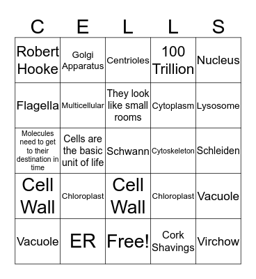 Biology Rocks!!! Bingo Card