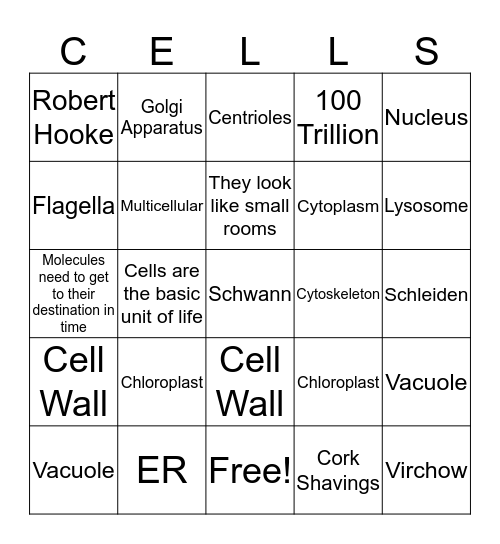 Biology Rocks!!! Bingo Card