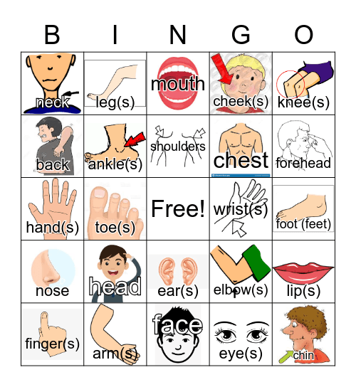 Parts of the Body (images and words) Bingo Card