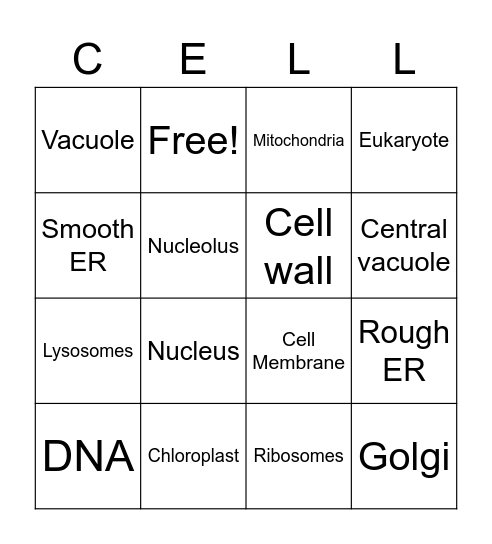 Cell organelles Bingo Card