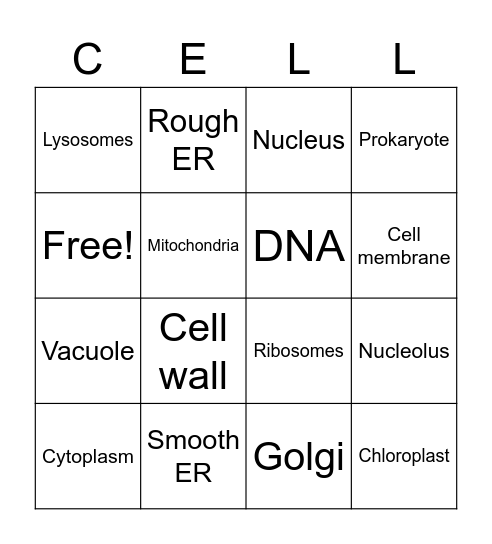 Cell organelles Bingo Card