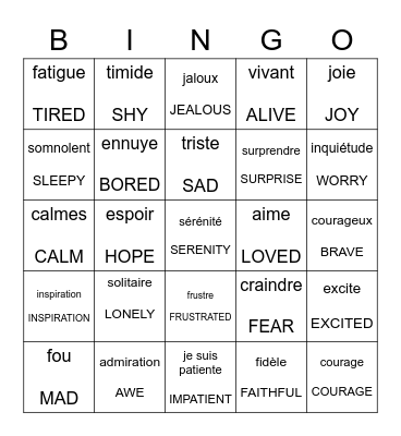 EMOTIONS / émotions Bingo Card