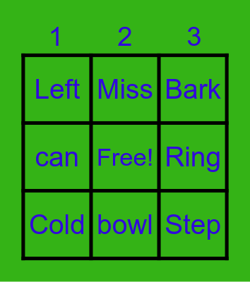 Multiple Meaning Words Bingo Card