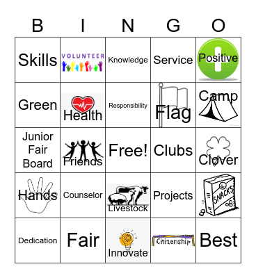 What is 4-H Bingo Card