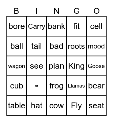 Rhyming Words Bingo Card